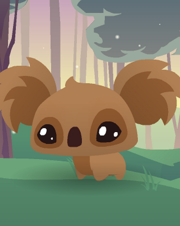 Pet Koala Animal Jam Wiki Fandom