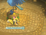 animal jam non member fox