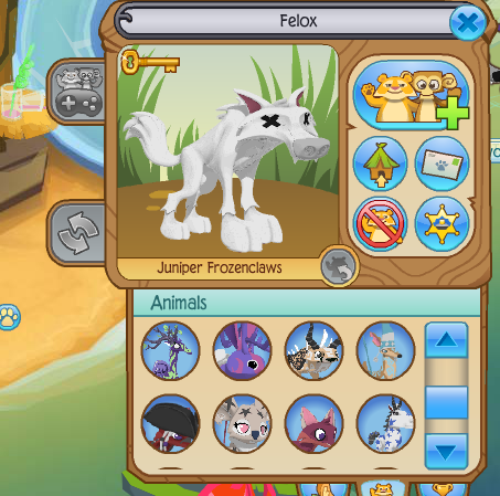 start hacking animal jam