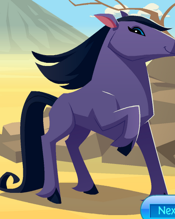 Arabian Horse Animal Jam Wiki Fandom