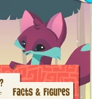 Fox | Animal Jam Wiki | FANDOM powered by Wikia