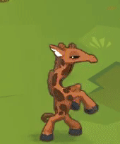 image giraffe dance gif animal jam wiki fandom powered by wikia