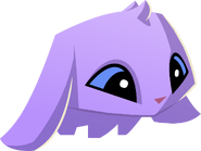 Bunny | Animal Jam Wiki | FANDOM powered by Wikia