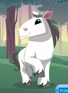 Horse | Animal Jam Wiki | Fandom