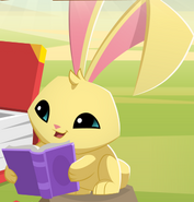 Bunny | Animal Jam Wiki | FANDOM powered by Wikia