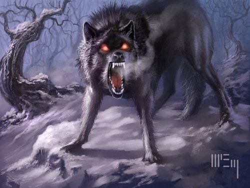 image direwolf jpg animal jam wiki fandom powered by wikia