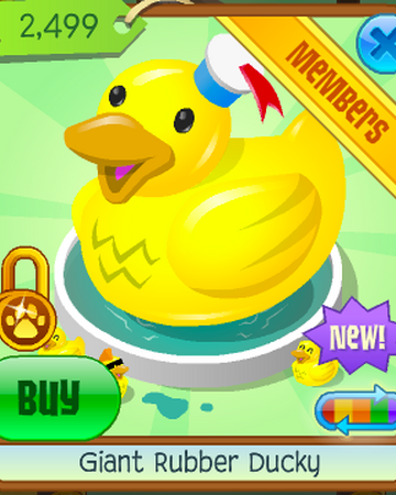 rubber ducky speedo