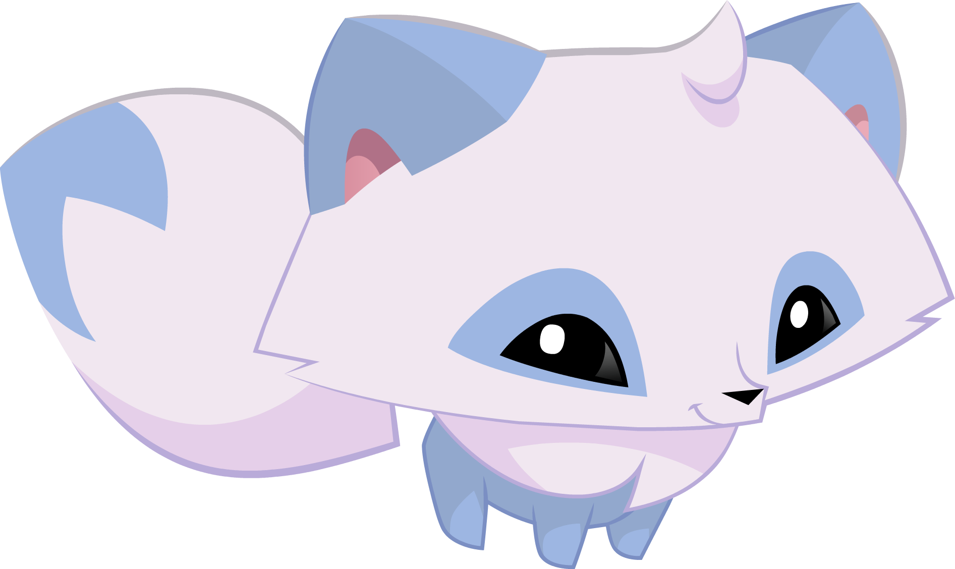 Image - Pet arctic fox graphic.png | Animal Jam Wiki | FANDOM powered