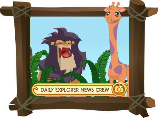 animal jam news crew