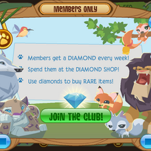 Animal Jam Join The Club