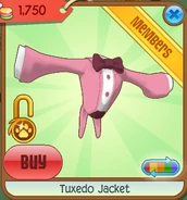 Animal Jam Item Recovery