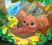 Tiki jam animal trouble where carnival leaving soon summer pet adventure must another help Koala | Animal Jam Wiki | FANDOM powered by Wikia