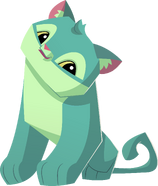 Cougar | Animal Jam Wiki | Fandom