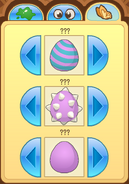 Pet Egg | Animal Jam Wiki | FANDOM powered by Wikia