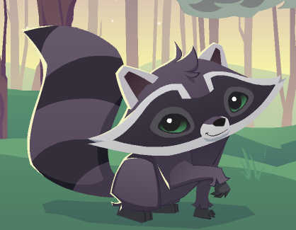 animal jam raccoons