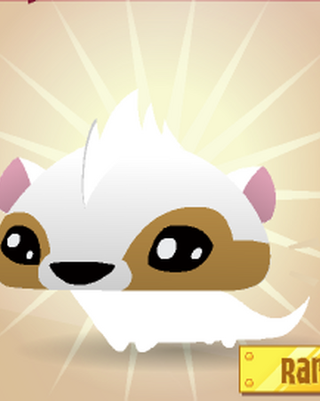 Pet Otter Animal Jam Wiki Fandom