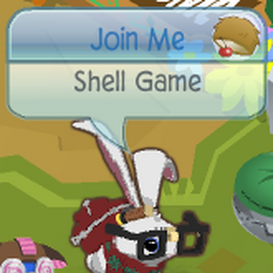 The Amazing Shell Game Animal Jam Wiki Fandom