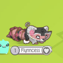Flynncess Animal Jam Art Wiki Fandom