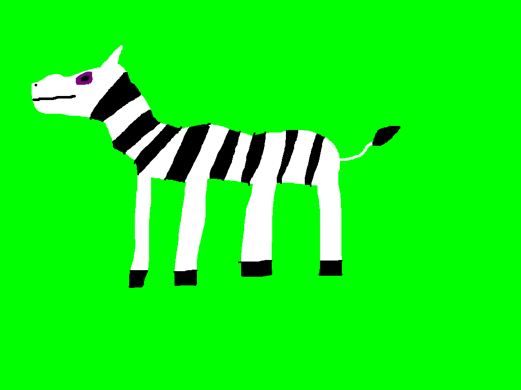 Zebras Animal Jam Fanon Wiki FANDOM powered by Wikia