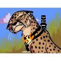 Animal Jam cheetah