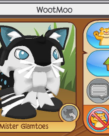 Wootmoo Animal Jam Users Wiki Fandom
