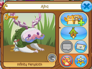 animal jam ajhq number