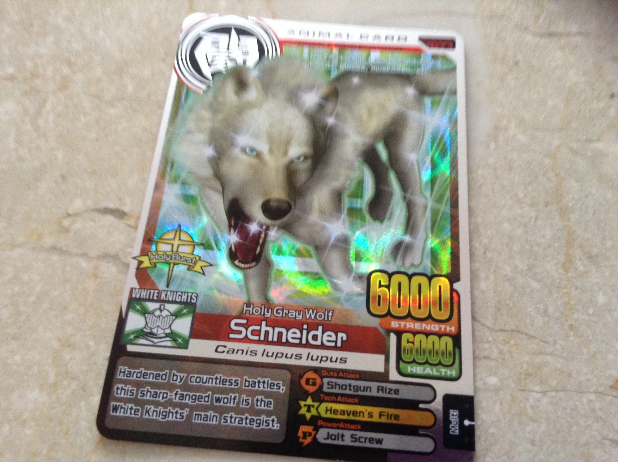 Schneider | Animal Kaiser Wiki | FANDOM powered by Wikia