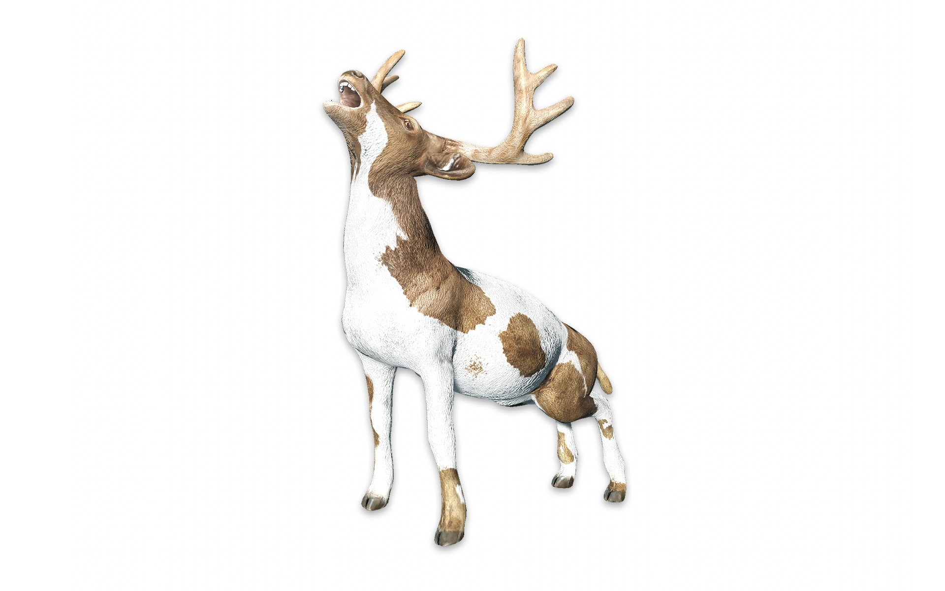 red-deer-animallica-wiki-fandom