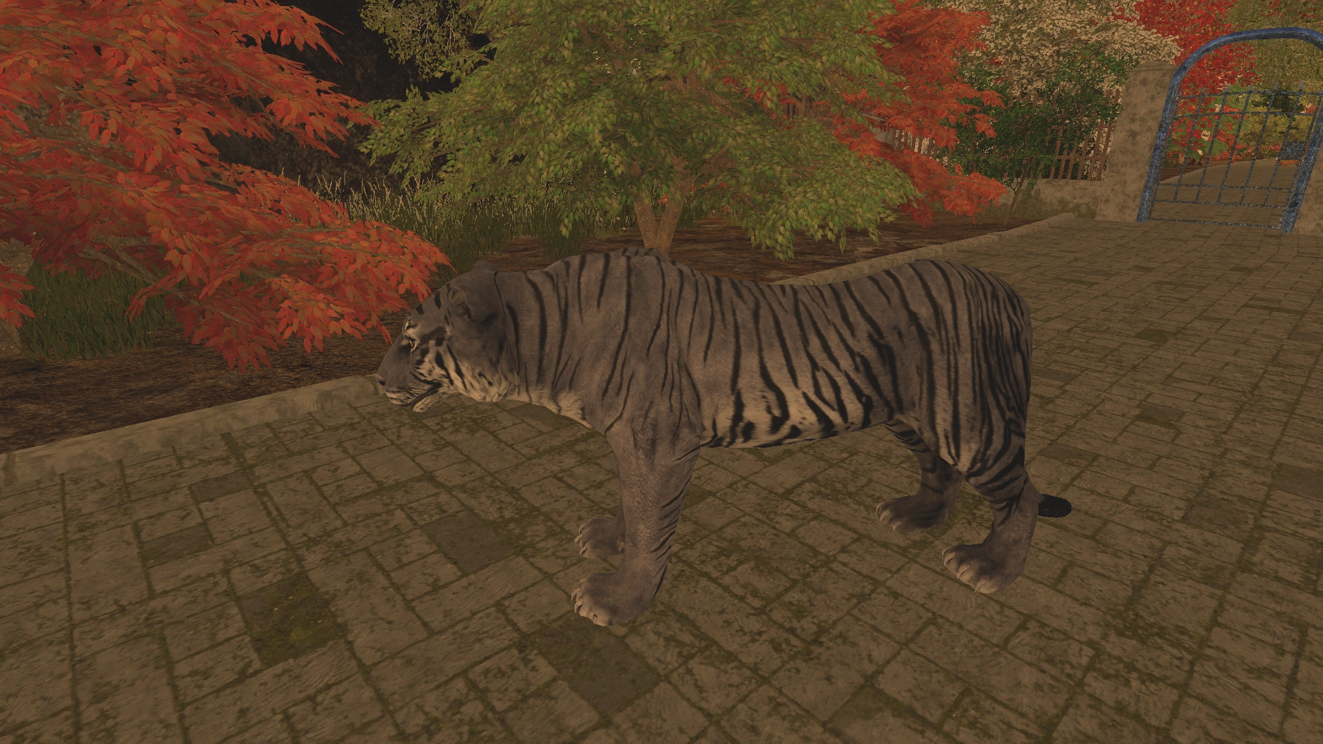 Maltese Tiger Animallica Wiki Fandom