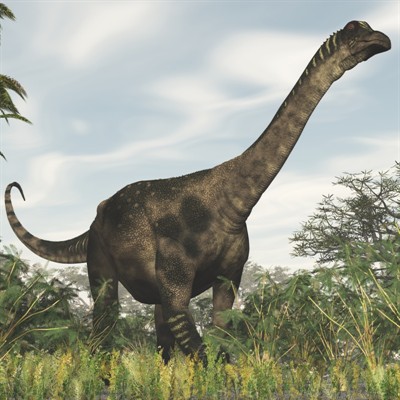 Image - Antarctosaurus.jpg | Animal of the world Wiki | FANDOM powered ...