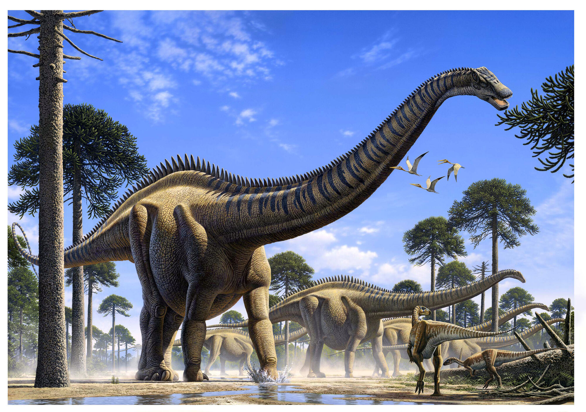 Supersaurus | Animal of the world Wiki | FANDOM powered by Wikia