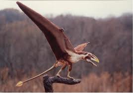 Dimorphodon