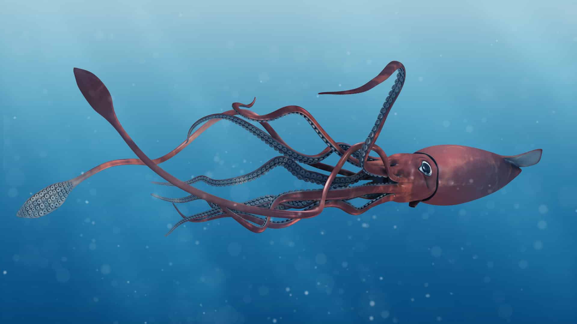 sparkle 2 evo giant squid