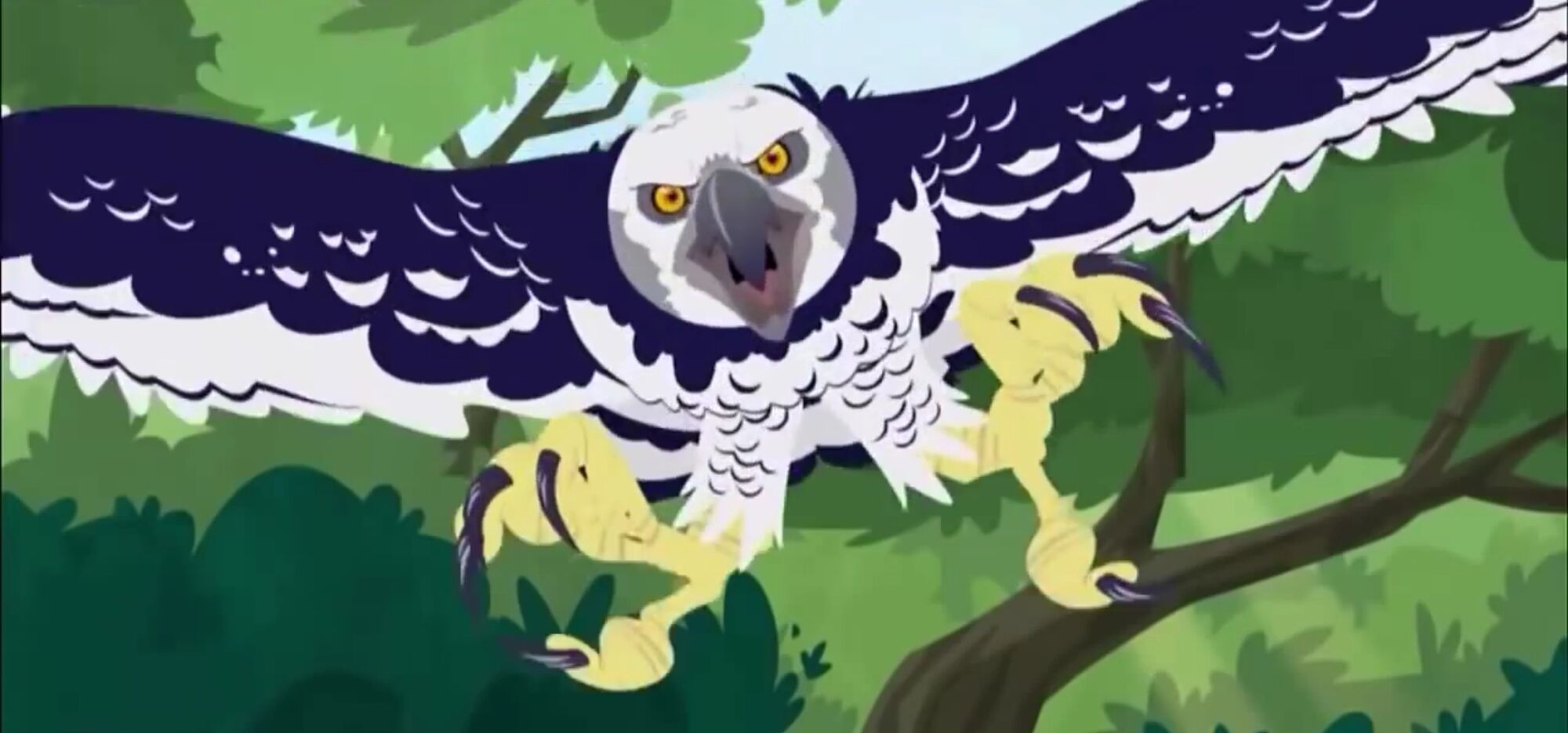 Harpy Eagle | Animals Wiki | Fandom