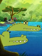 Nile Crocodile | Animals Wiki | FANDOM powered by Wikia