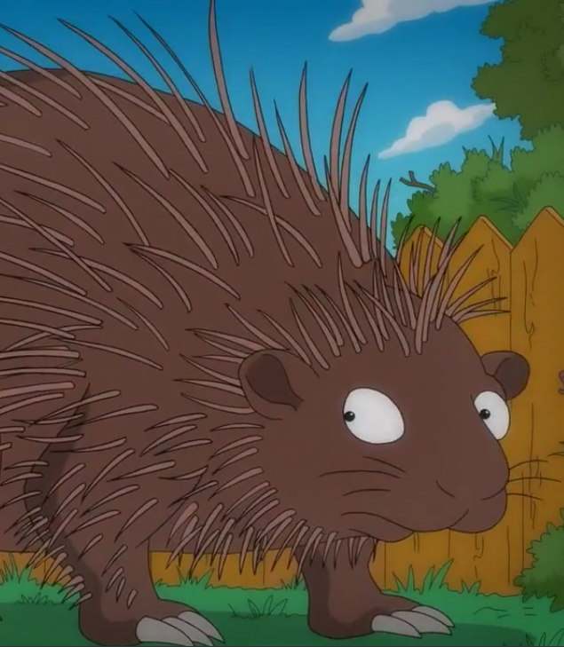 North American Porcupine | Animals Wiki | Fandom