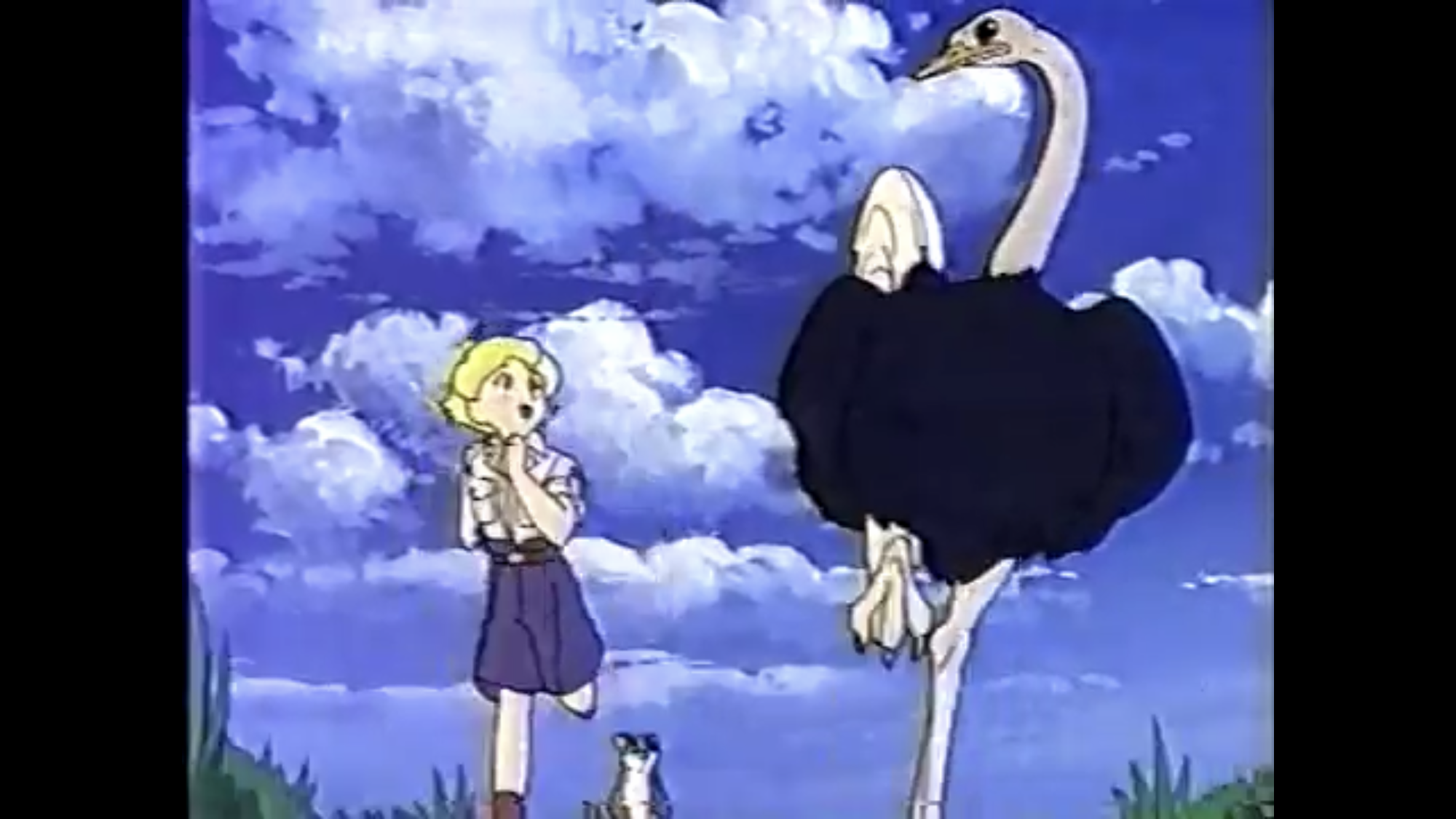 Category:Ostriches | Animals Wiki | Fandom