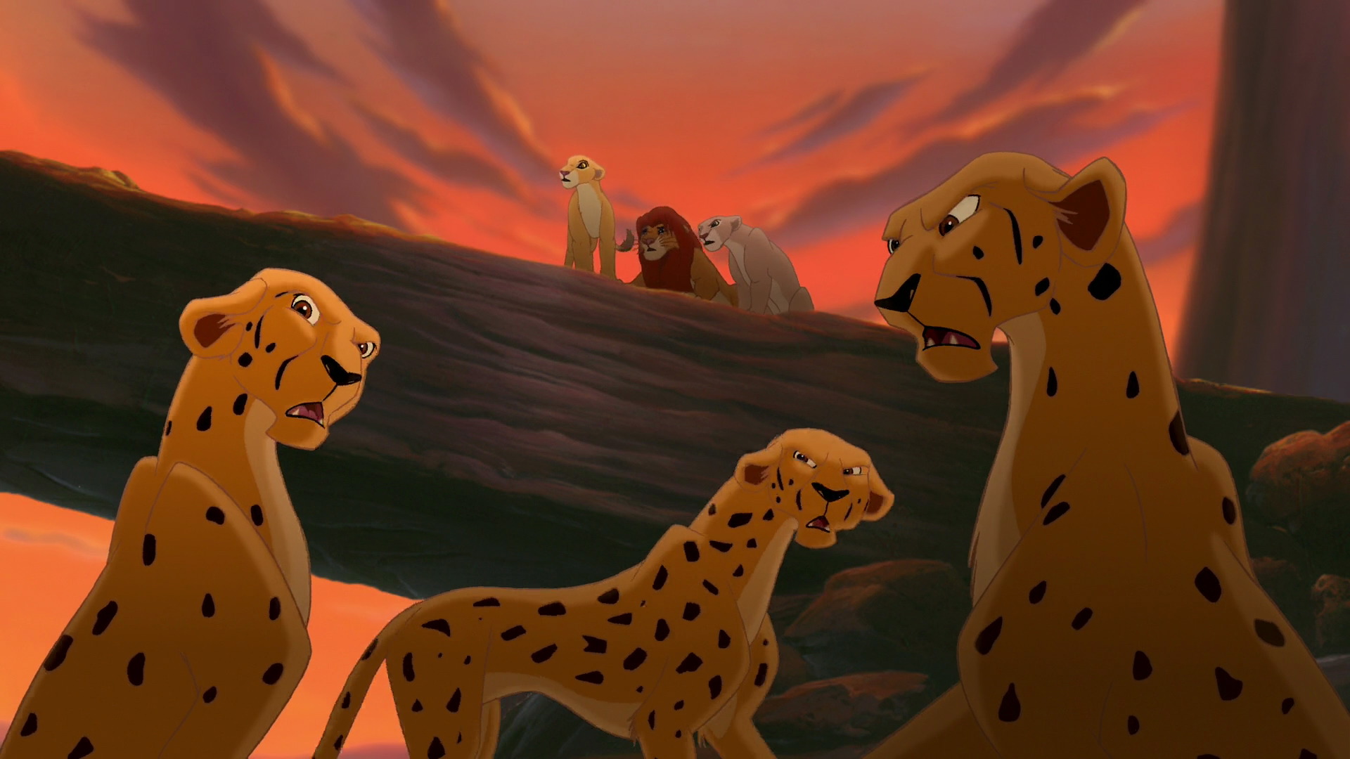 Image - Cheetah-the-lion-king-2.jpg | Animals Wiki | FANDOM powered by ...