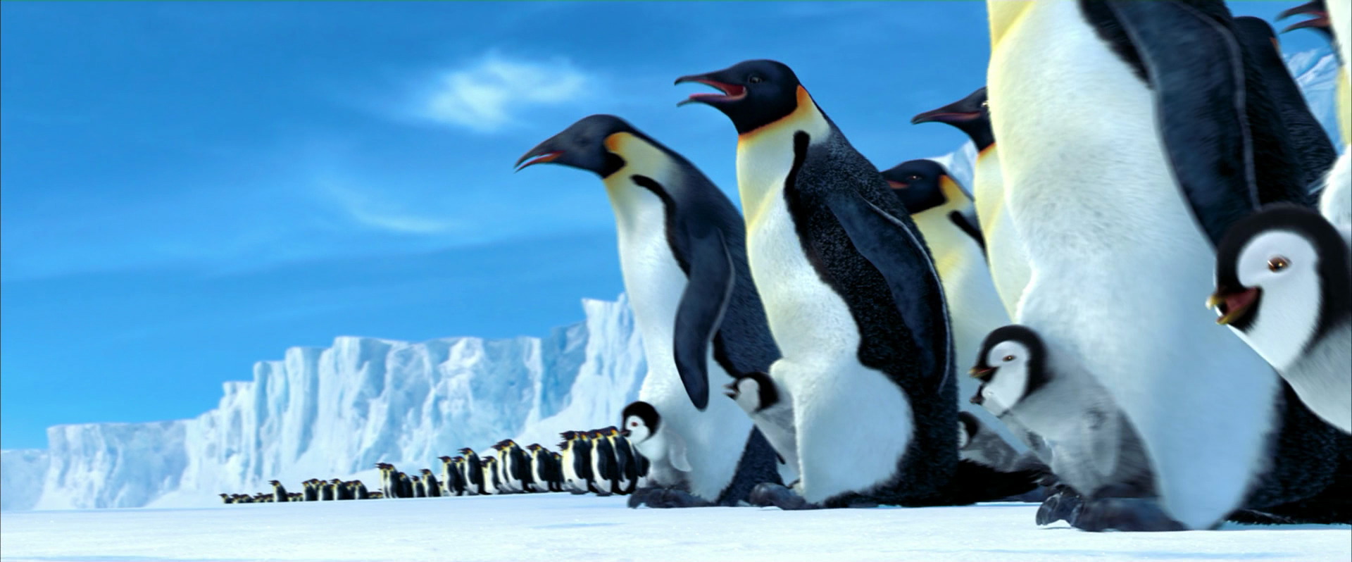 Category:Penguins | Animals Wiki | FANDOM Powered By Wikia