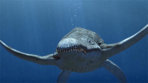 Pliosaurus | Animals Wiki | Fandom