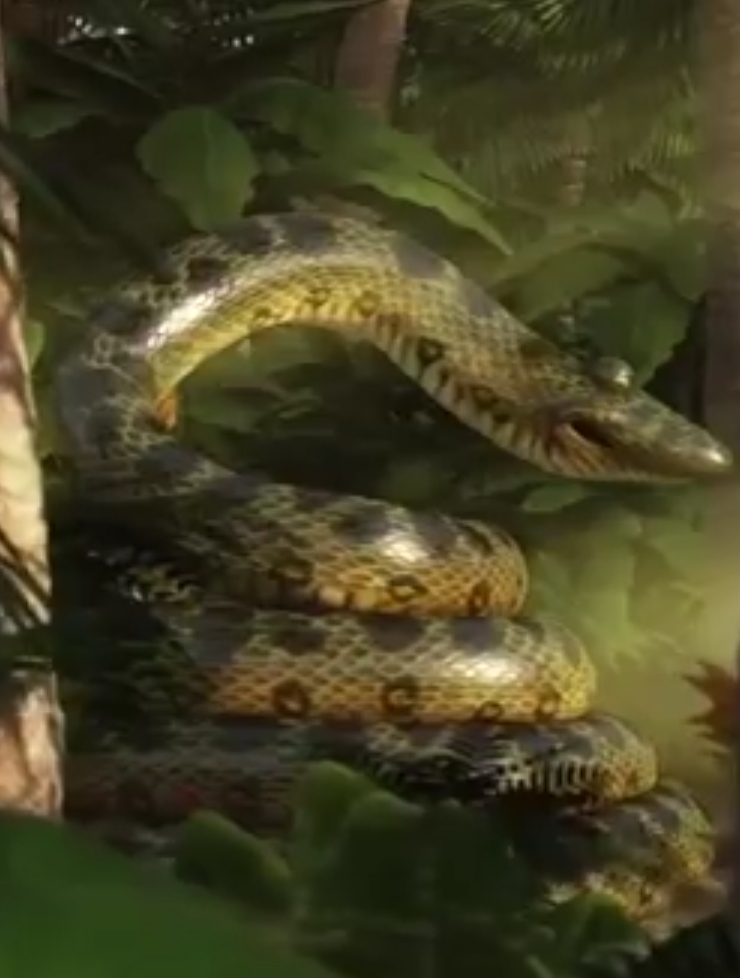 Green Anaconda | Animals Wiki | FANDOM powered by Wikia