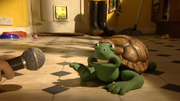 Creature Comforts Animals Wiki Fandom