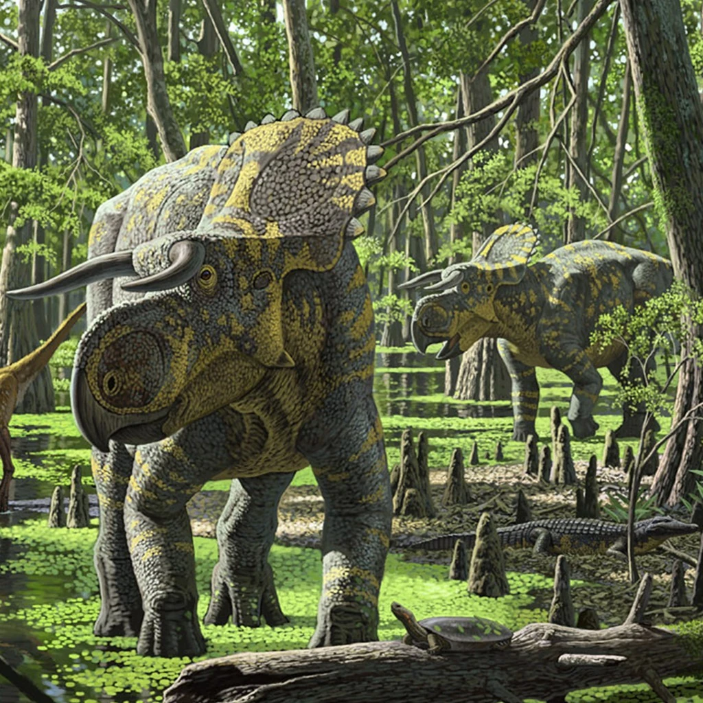 Nasutoceratops Animal Database FANDOM powered by Wikia