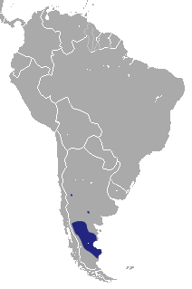 Image-1469807529
