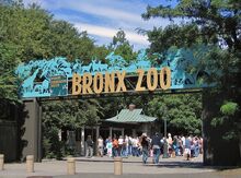 800px-Bronx Zoo 001