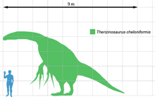 Therizinosaurus scale