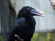 Image-1469733221