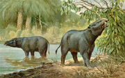 Image-1463774025