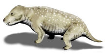 Image-1464732304