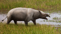 1051 moeritherium mehdi nikbakhsh